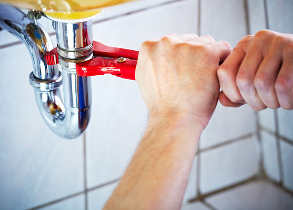 About Bellingham Plumbers
